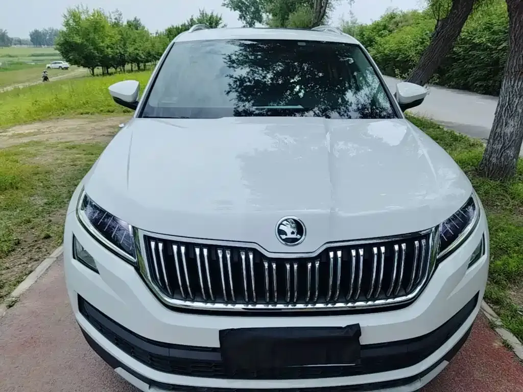 Skoda Kodiaq — фото 8
