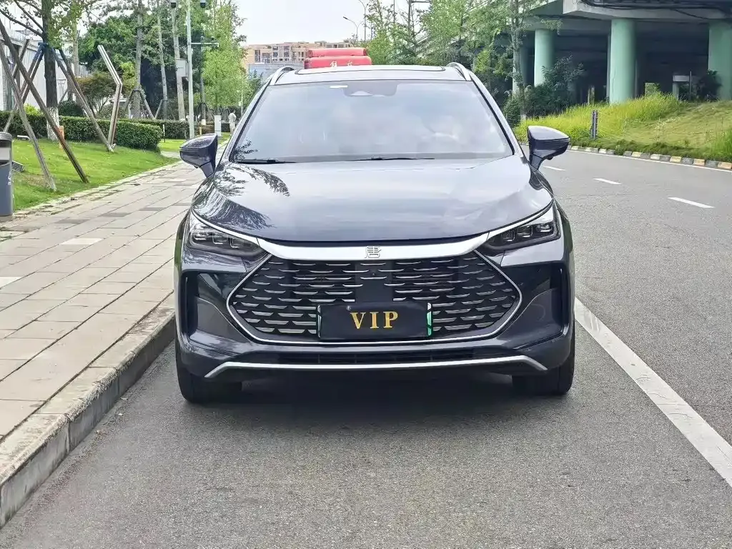 BYD Tang New Energy 2024 из CN, фото 7