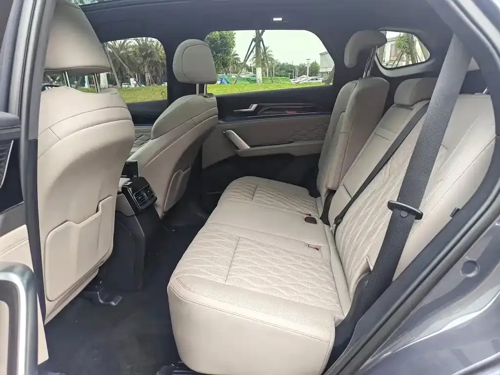 BYD Tang New Energy 2024 из CN, фото 4