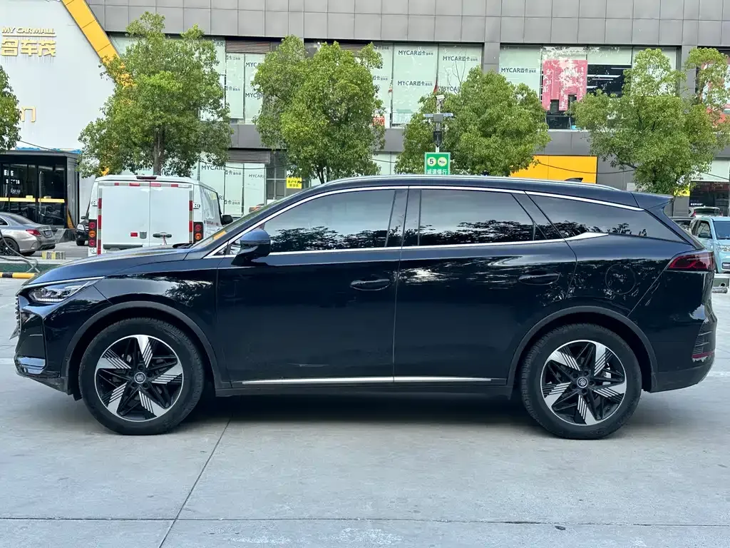 BYD Tang New Energy 2024 из CN, фото 9