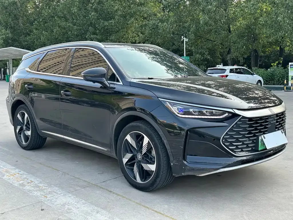 BYD Tang New Energy 2024 из CN, фото 4