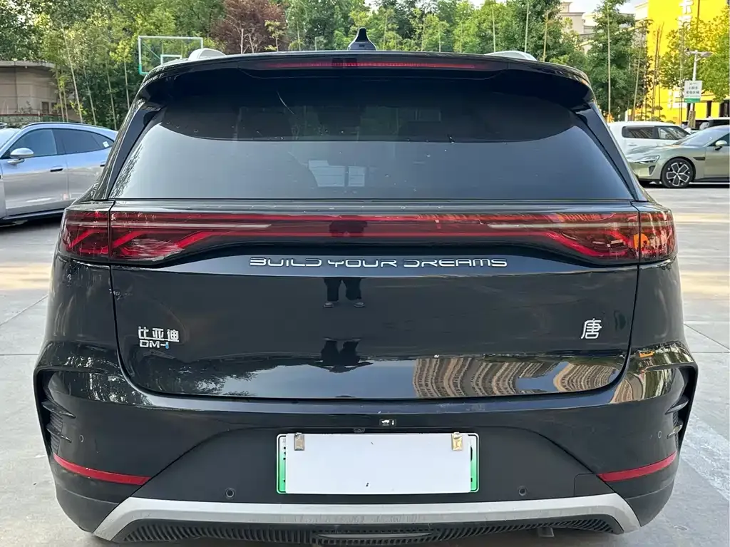 BYD Tang New Energy 2024 из CN, фото 3