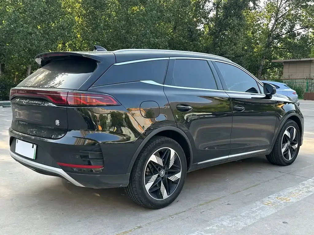 BYD Tang New Energy 2024 из CN, фото 7