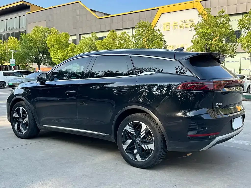 BYD Tang New Energy 2024 из CN, фото 8