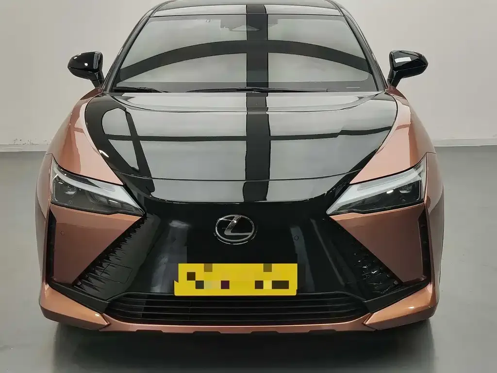 Lexus RZ — фото 6