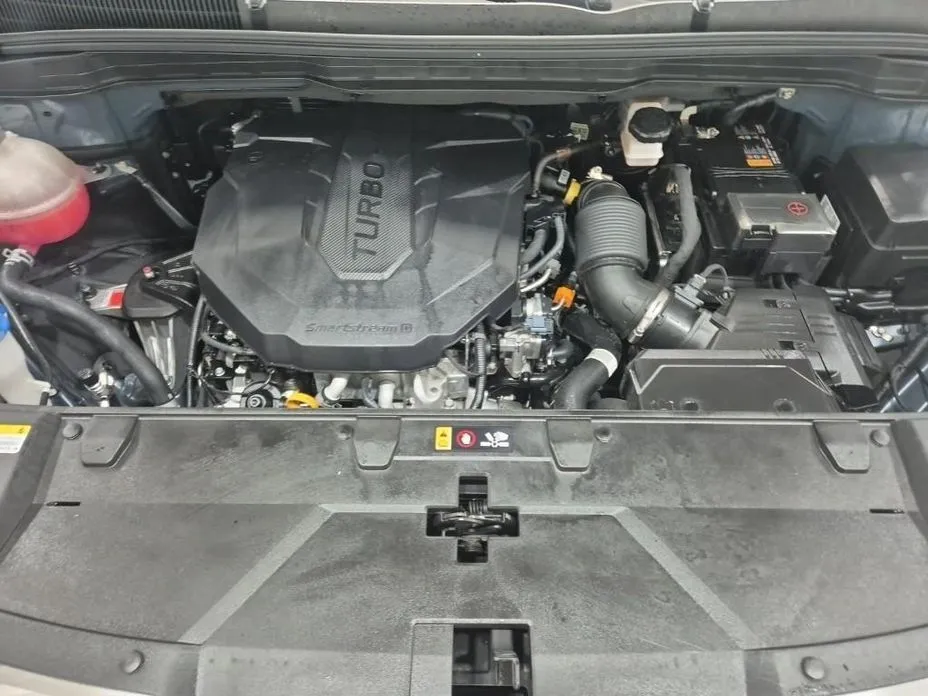 Kia Carnival — фото 10