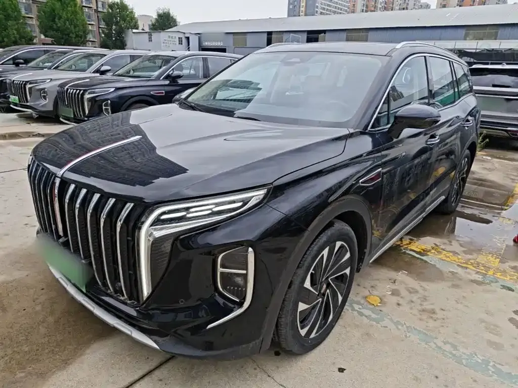 Hongqi HS7 PHEV 2024 из CN, фото 9
