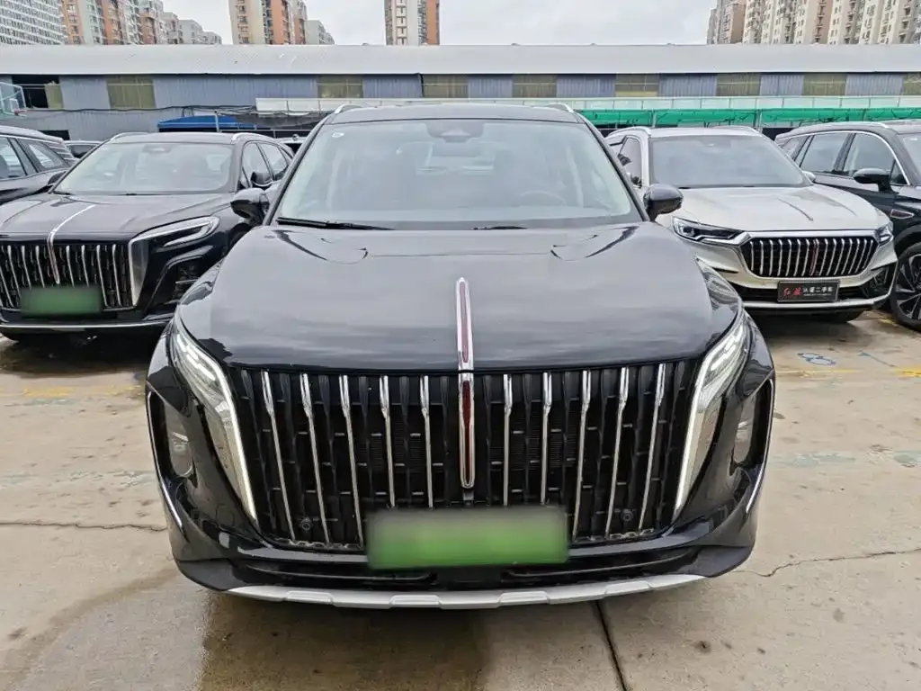 Hongqi HS7 PHEV 2024 из CN, фото 8