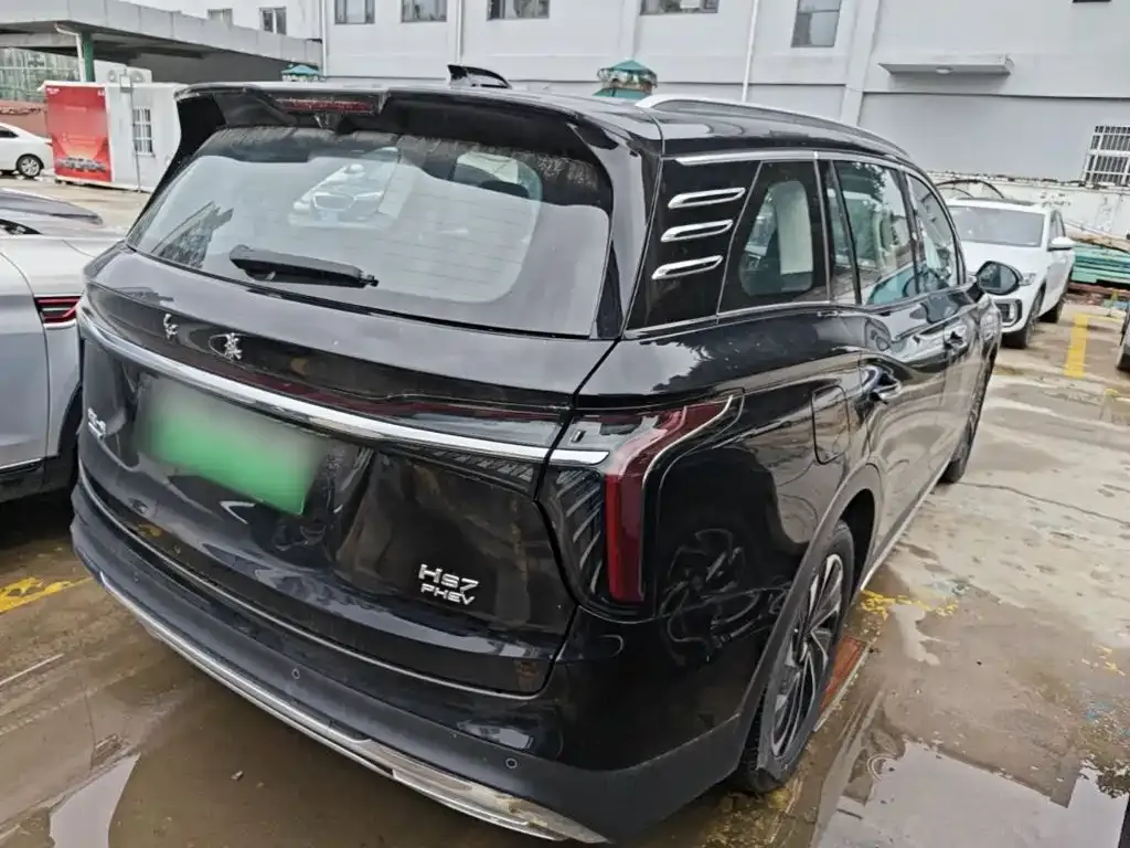 Hongqi HS7 PHEV 2024 из CN, фото 6