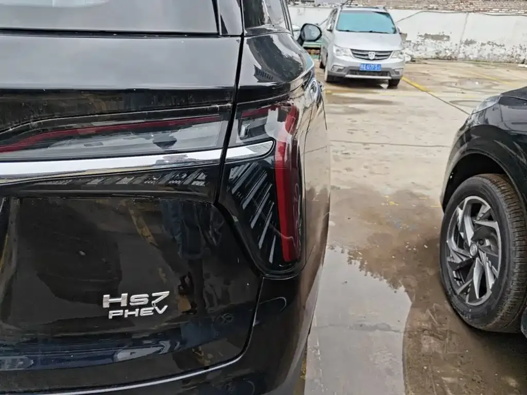 Hongqi HS7 PHEV 2024 из CN, фото 2