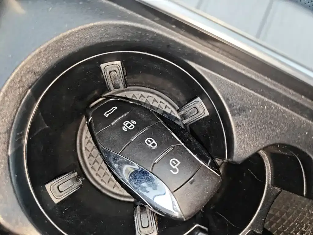 Hongqi HS7 PHEV 2024 из CN, фото 5