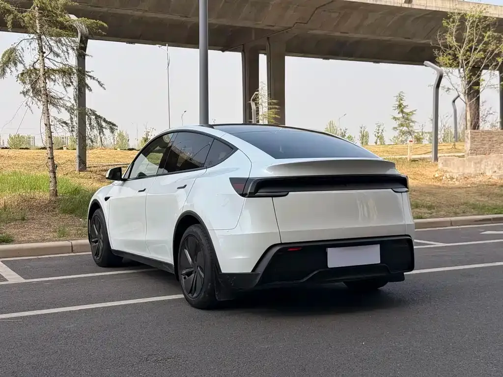 Tesla Model Y — фото 5