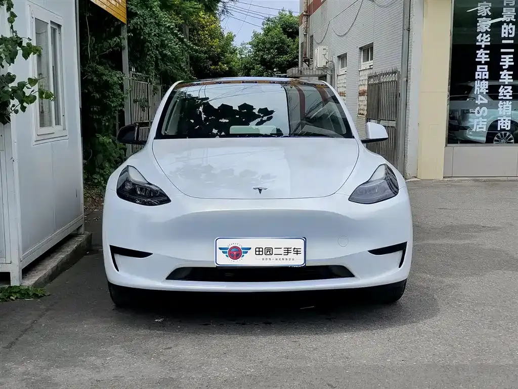 Tesla Model Y — фото 4