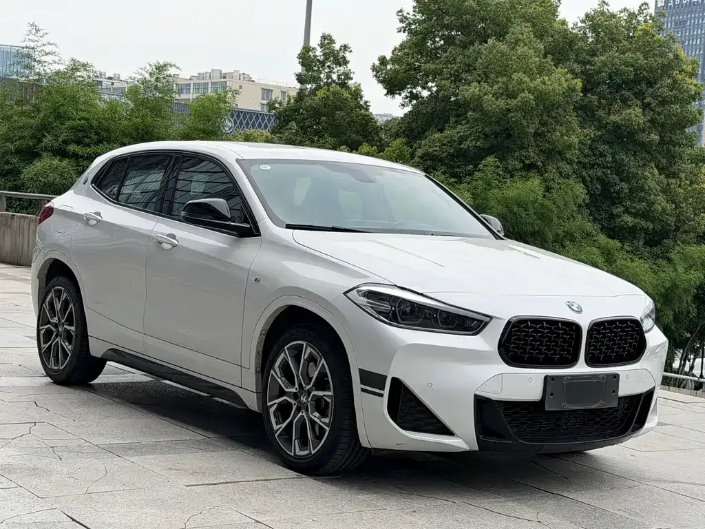 BMW X2 — фото 10