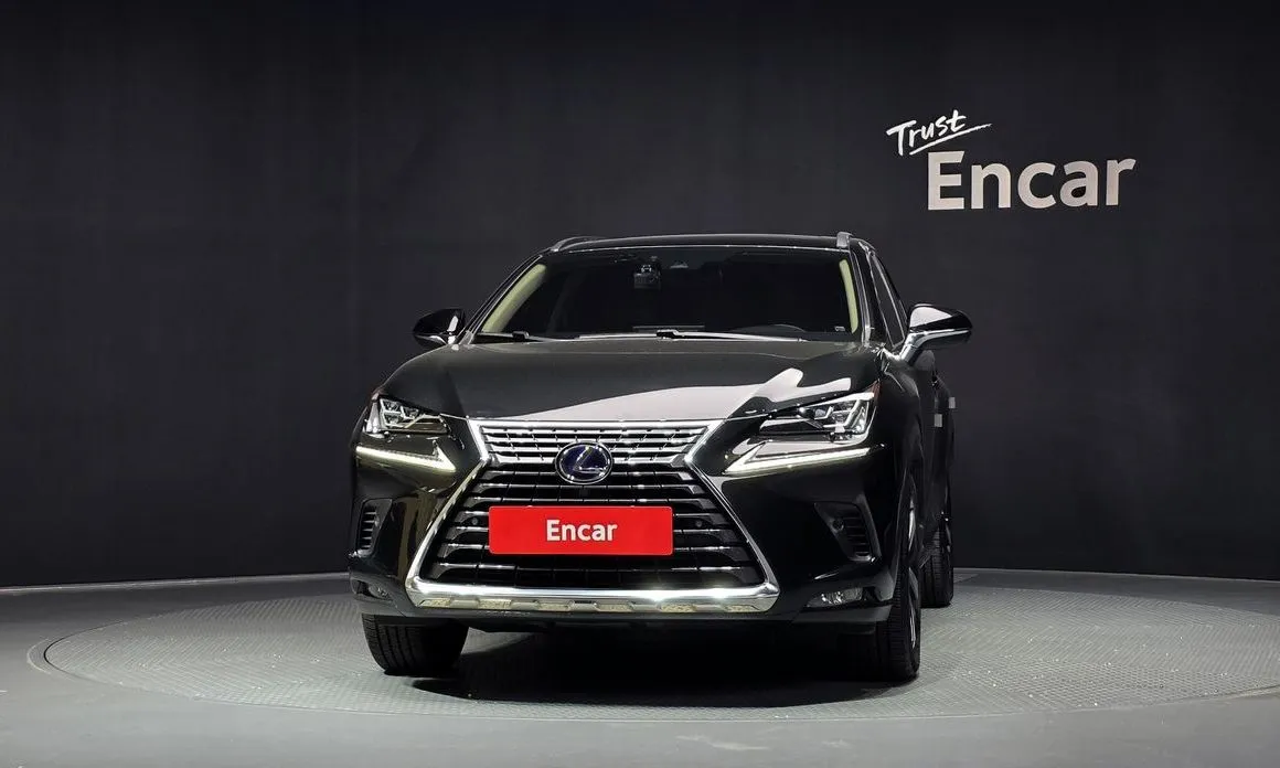 Lexus NX 2021 из KR, фото 4