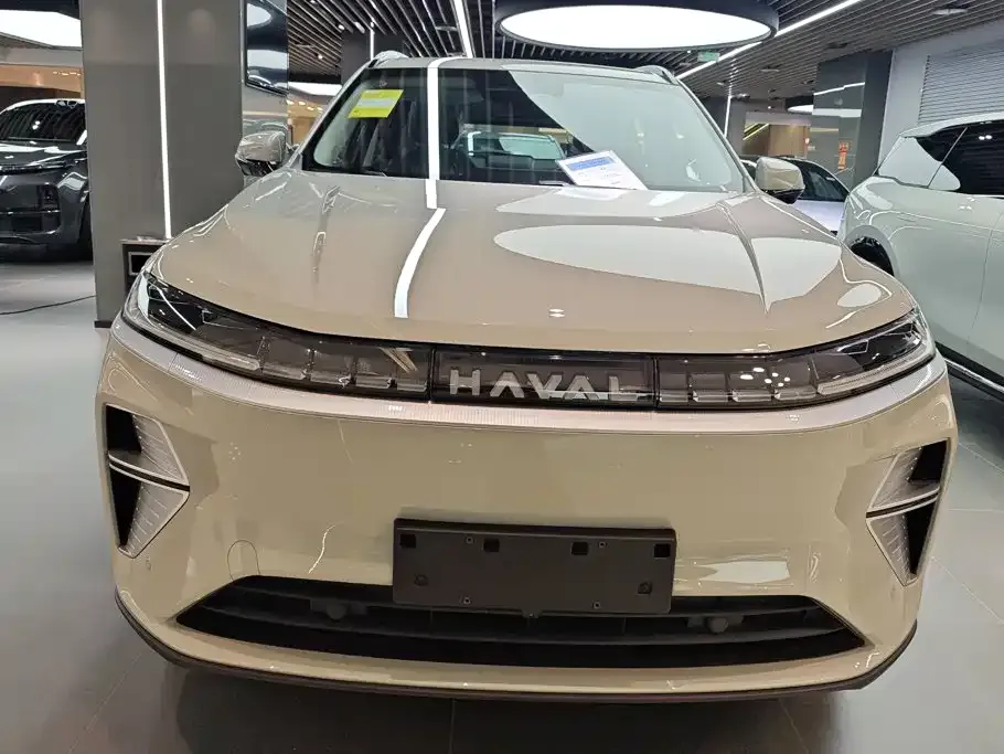 Haval Xiaolong MAX — фото 8
