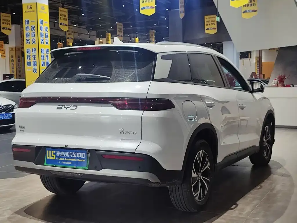 BYD Pro New Energy — фото 8