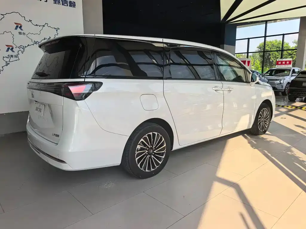 Buick GL8 Hybrid — фото 5