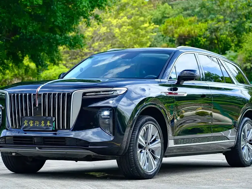 Hongqi E-HS9 — фото 10