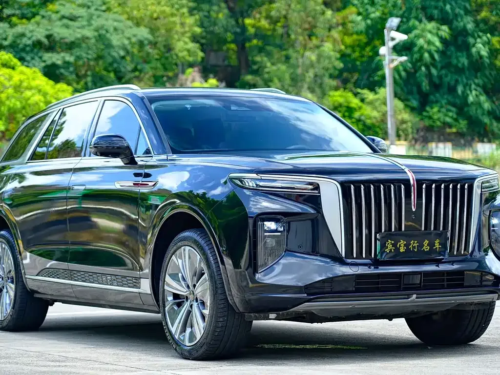 Hongqi E-HS9 — фото 9