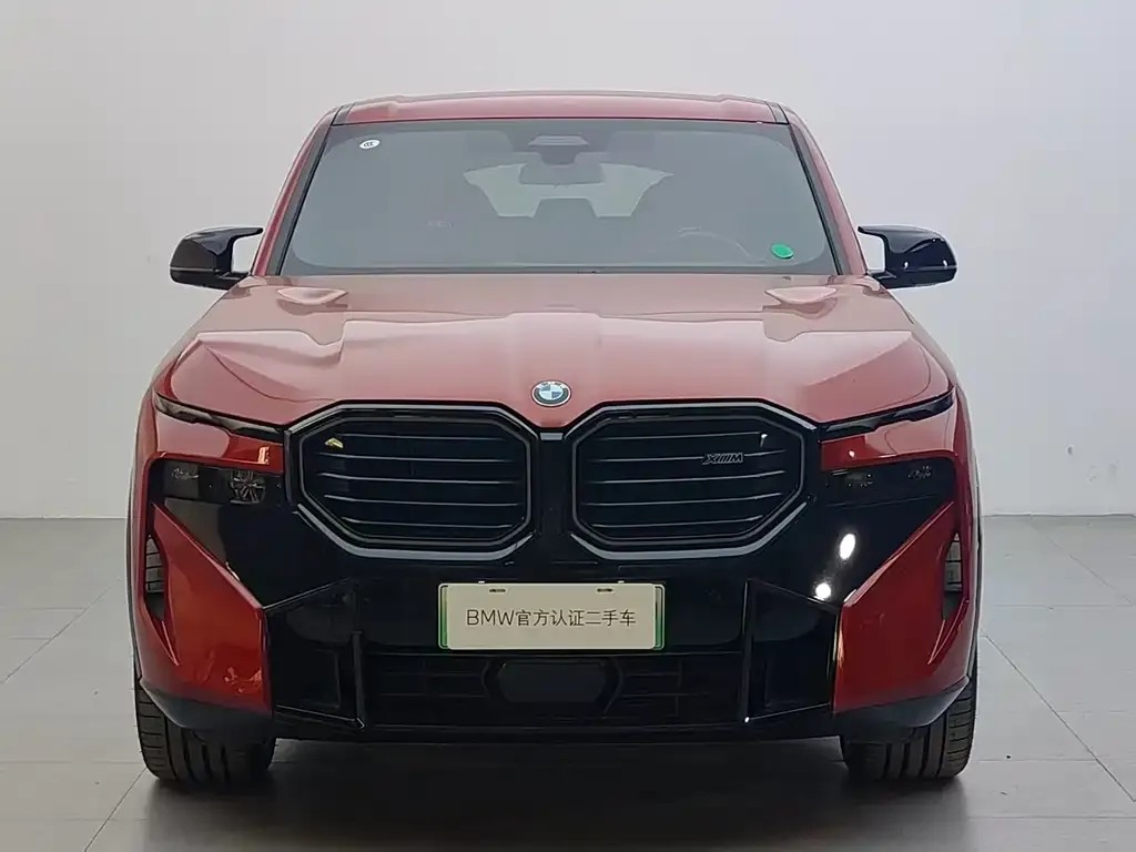 BMW XM — фото 10