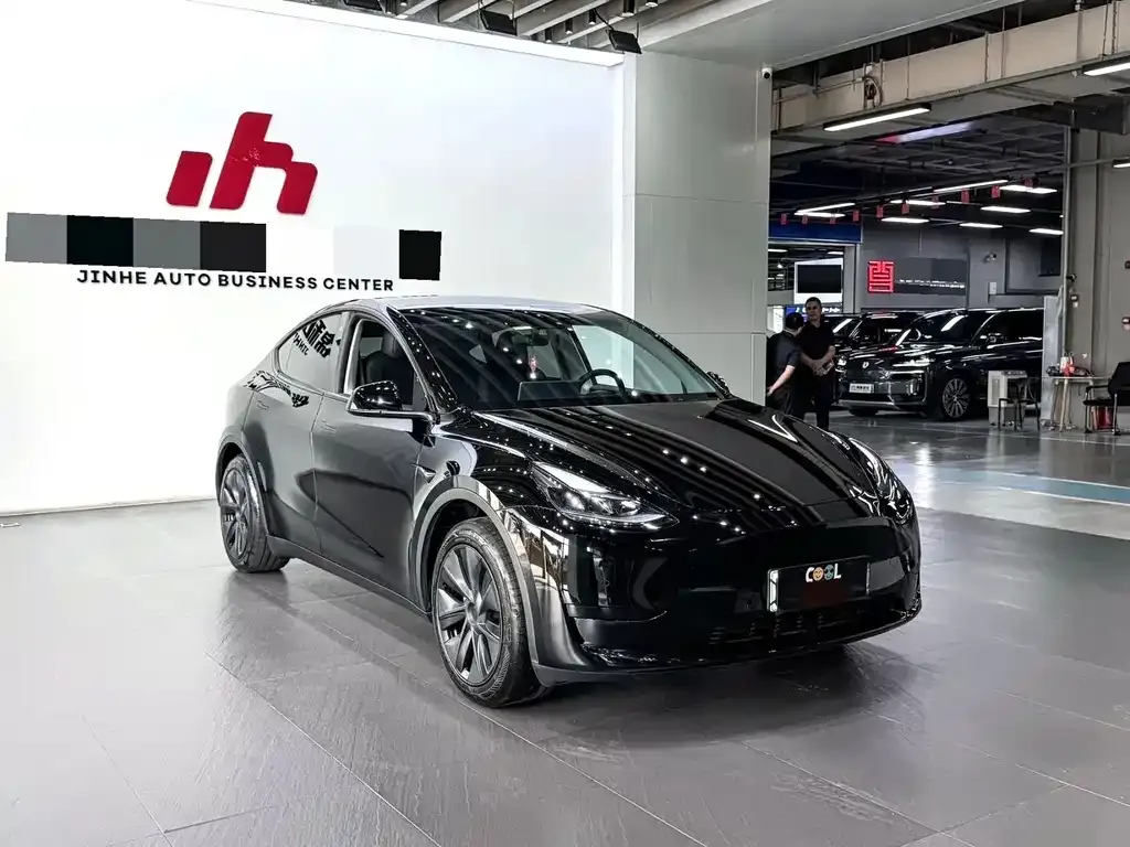 Tesla Model Y — фото 10