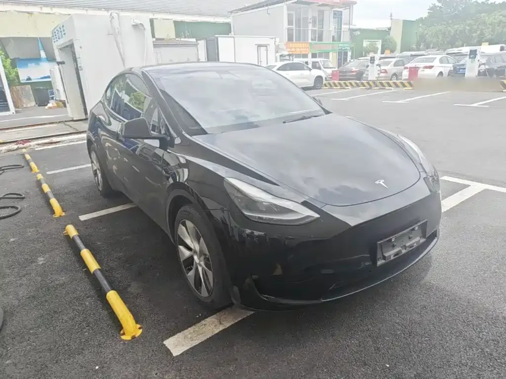 Tesla Model Y — фото 3
