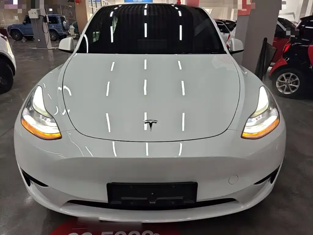 Tesla Model Y — фото 6