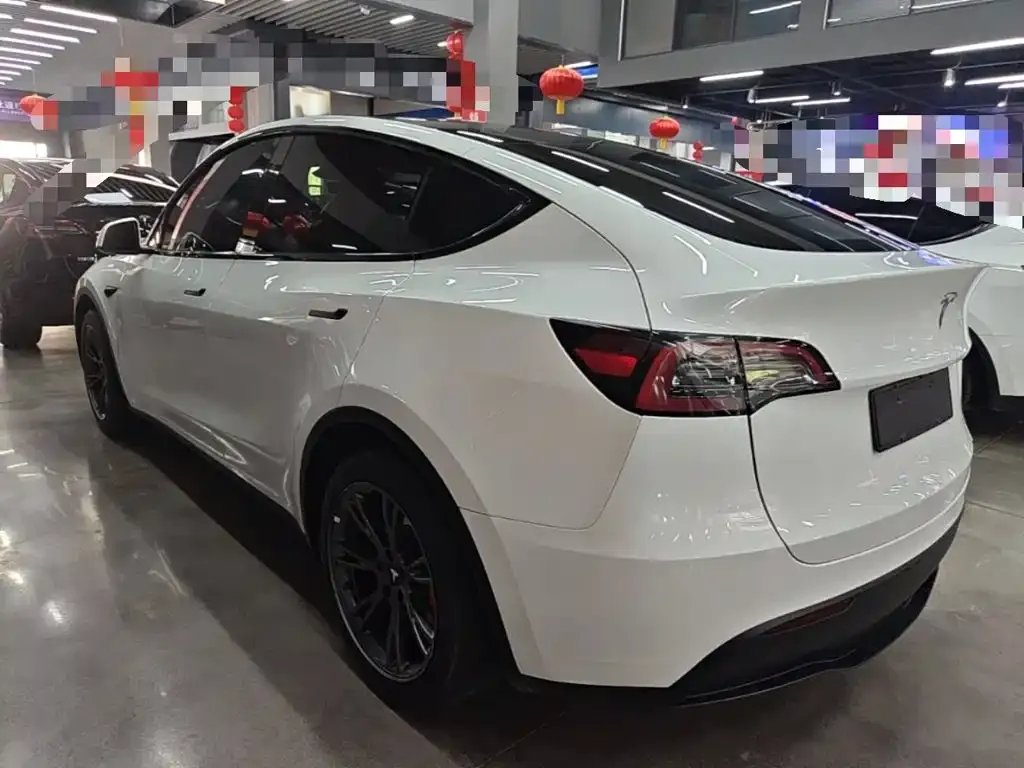Tesla Model Y — фото 9