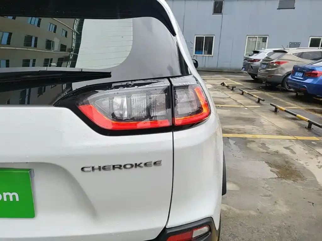 Jeep Cherokee 2021 из CN, фото 6