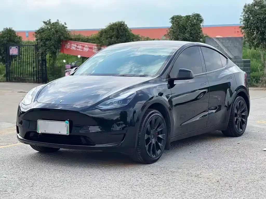 Tesla Model Y — фото 1