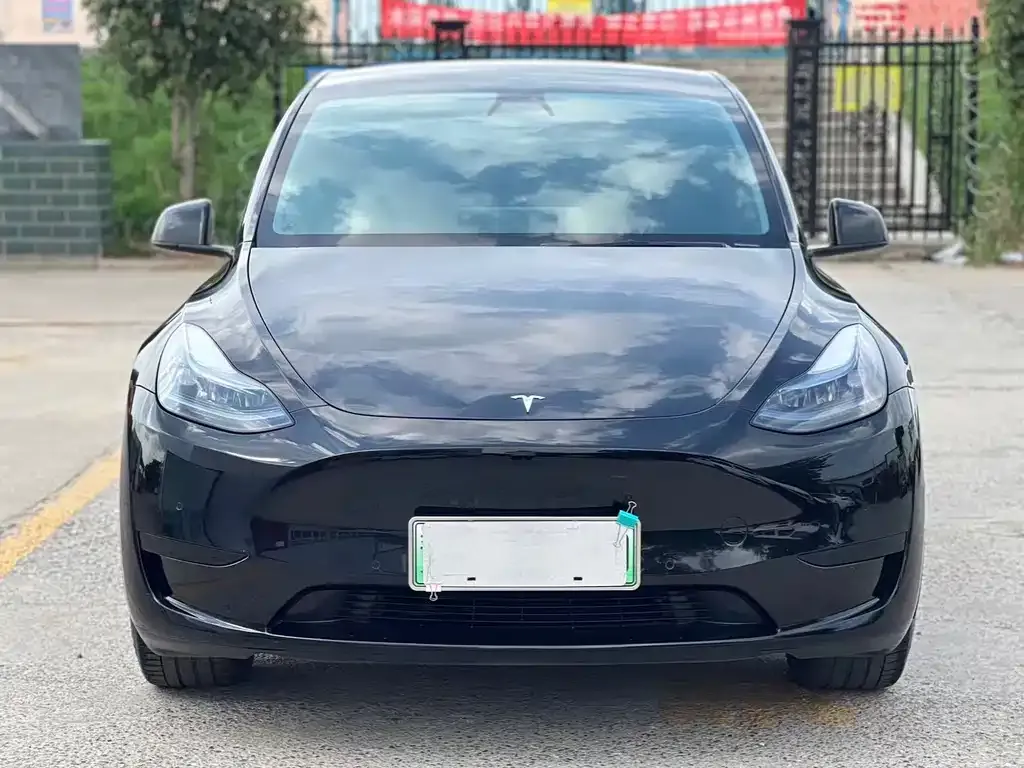 Tesla Model Y — фото 6