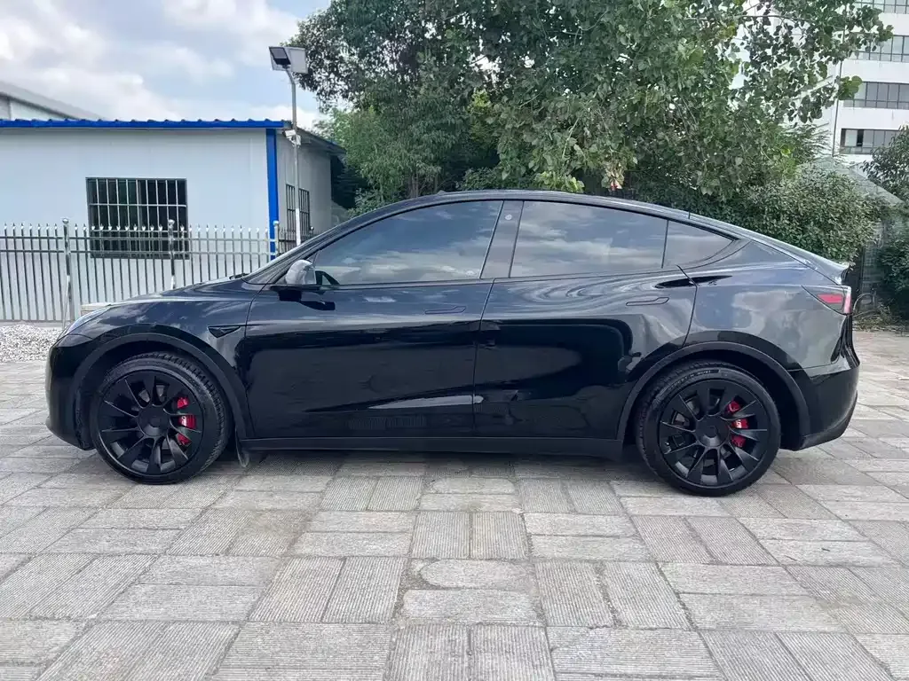 Tesla Model Y — фото 10