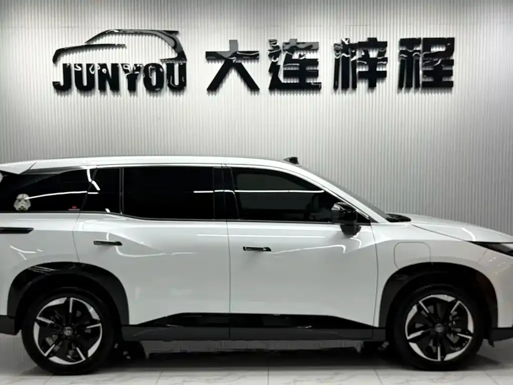 Toyota Platinum 3X — фото 2