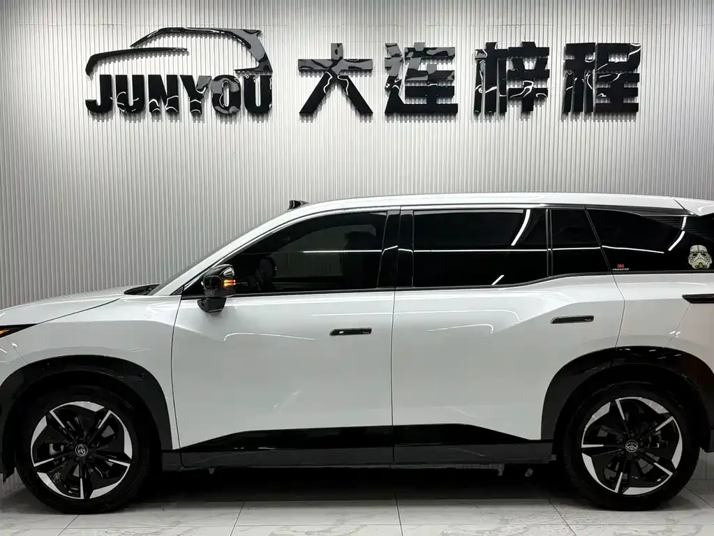 Toyota Platinum 3X — фото 8