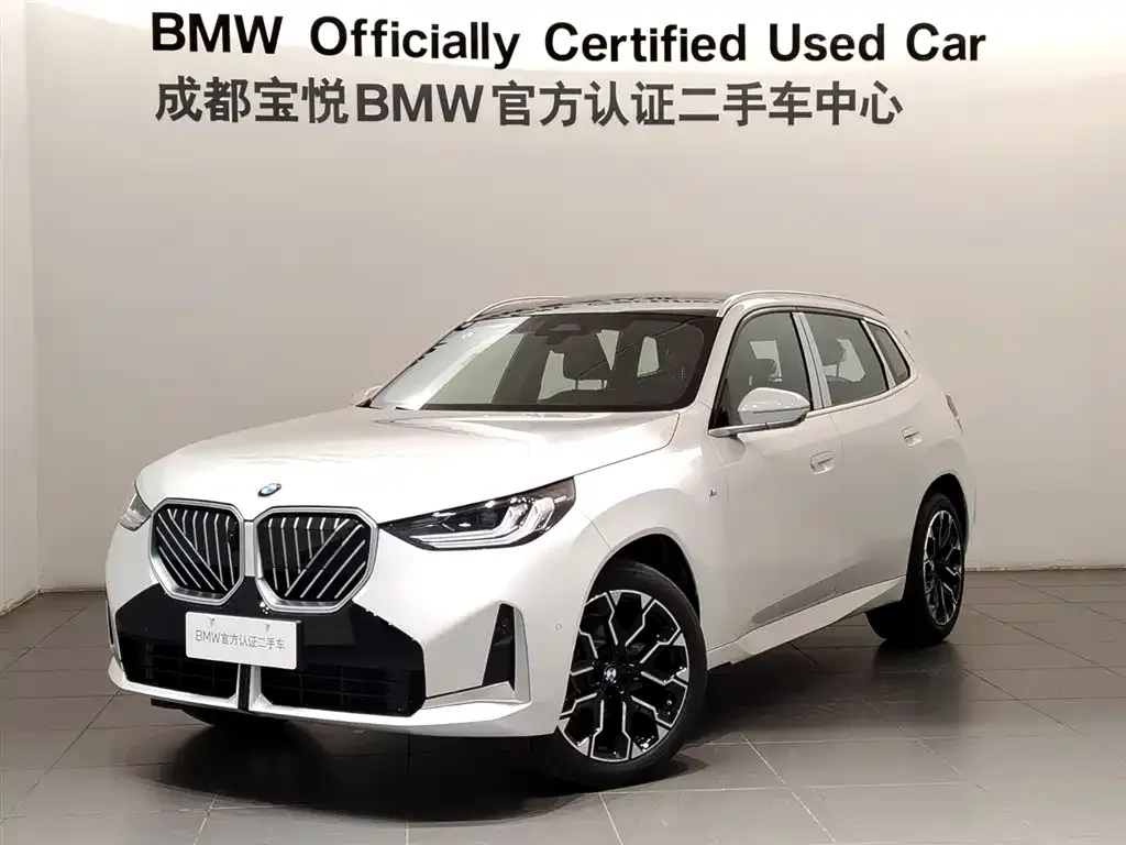 BMW X3 — фото 1