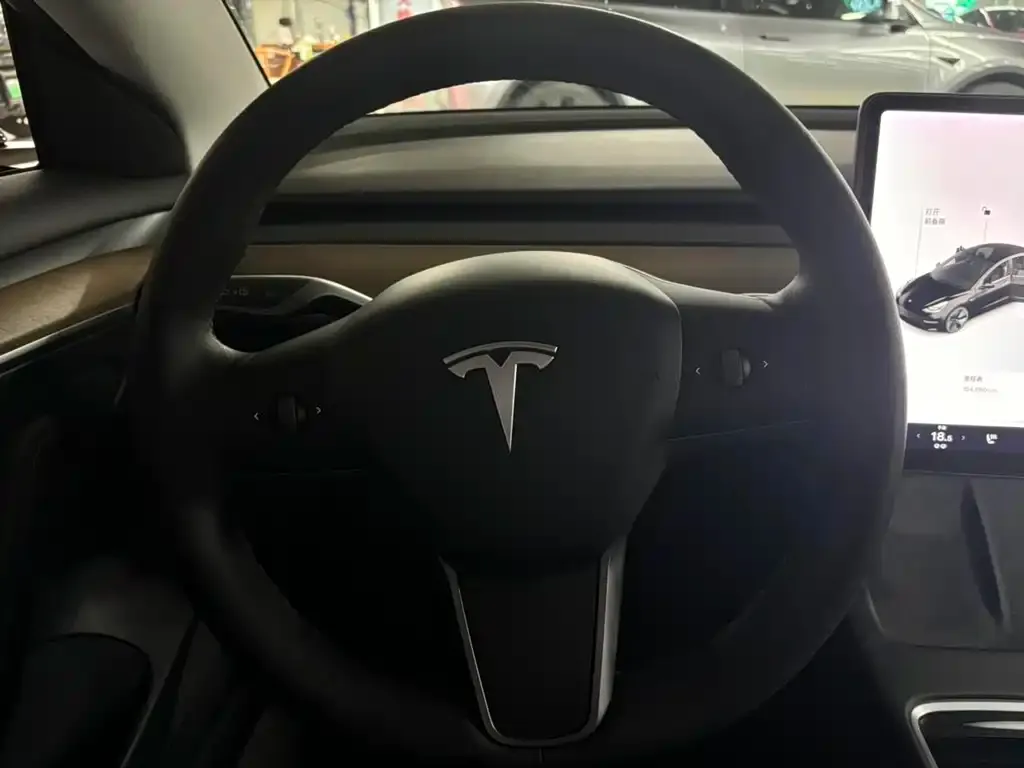 Tesla Model 3 — фото 2