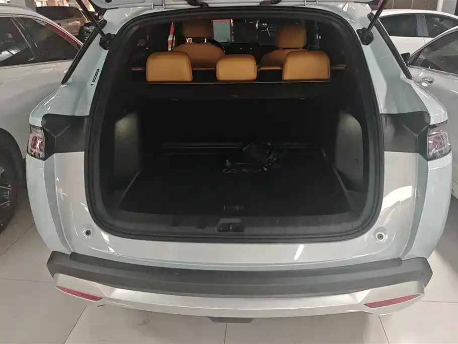 BYD L DM-i — фото 9