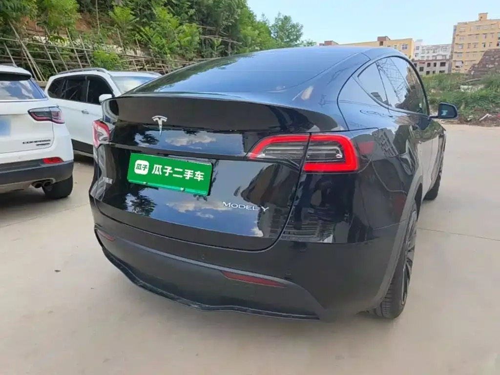 Tesla Model Y — фото 9