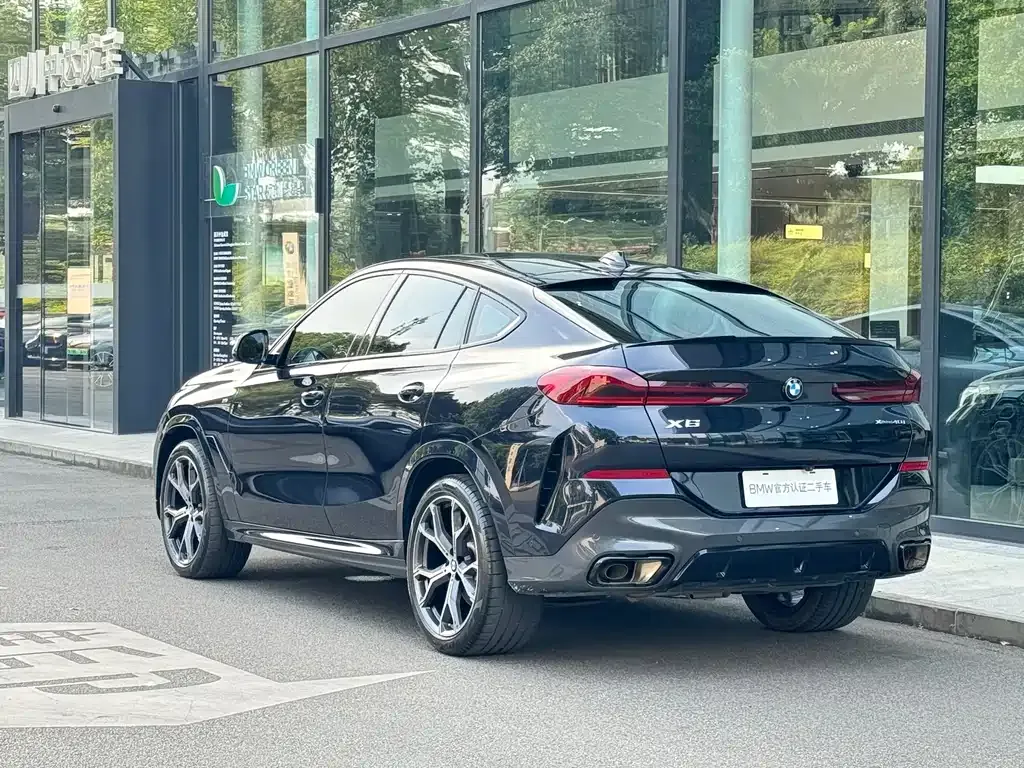 BMW X6 — фото 10
