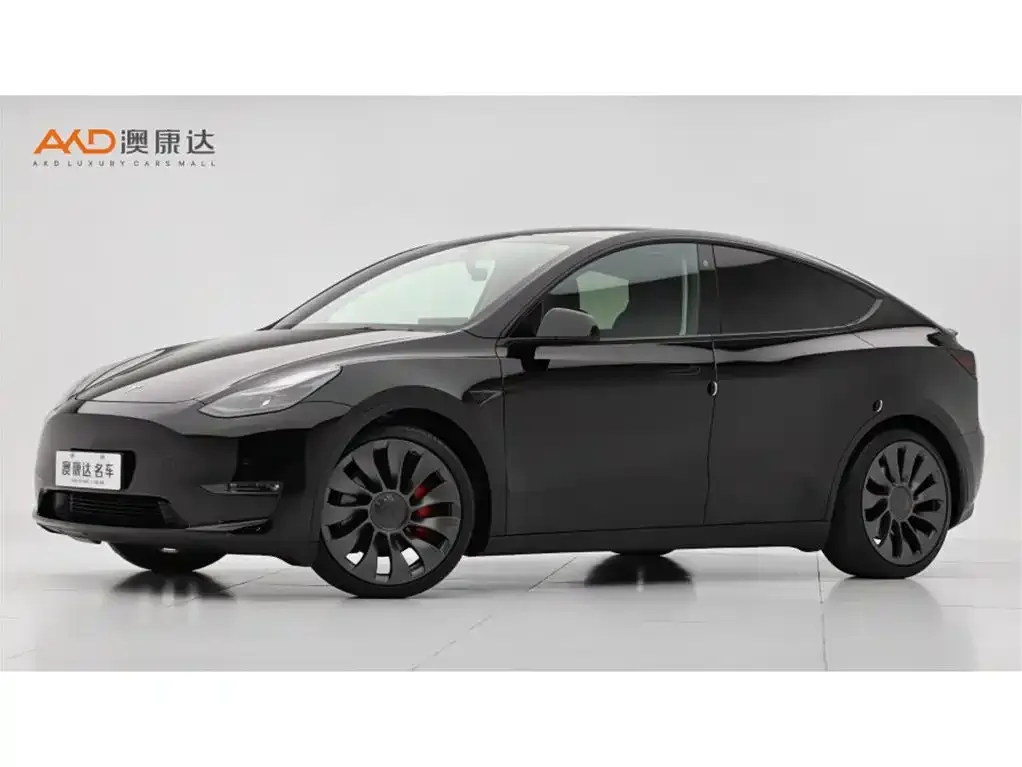 Tesla Model Y — фото 1