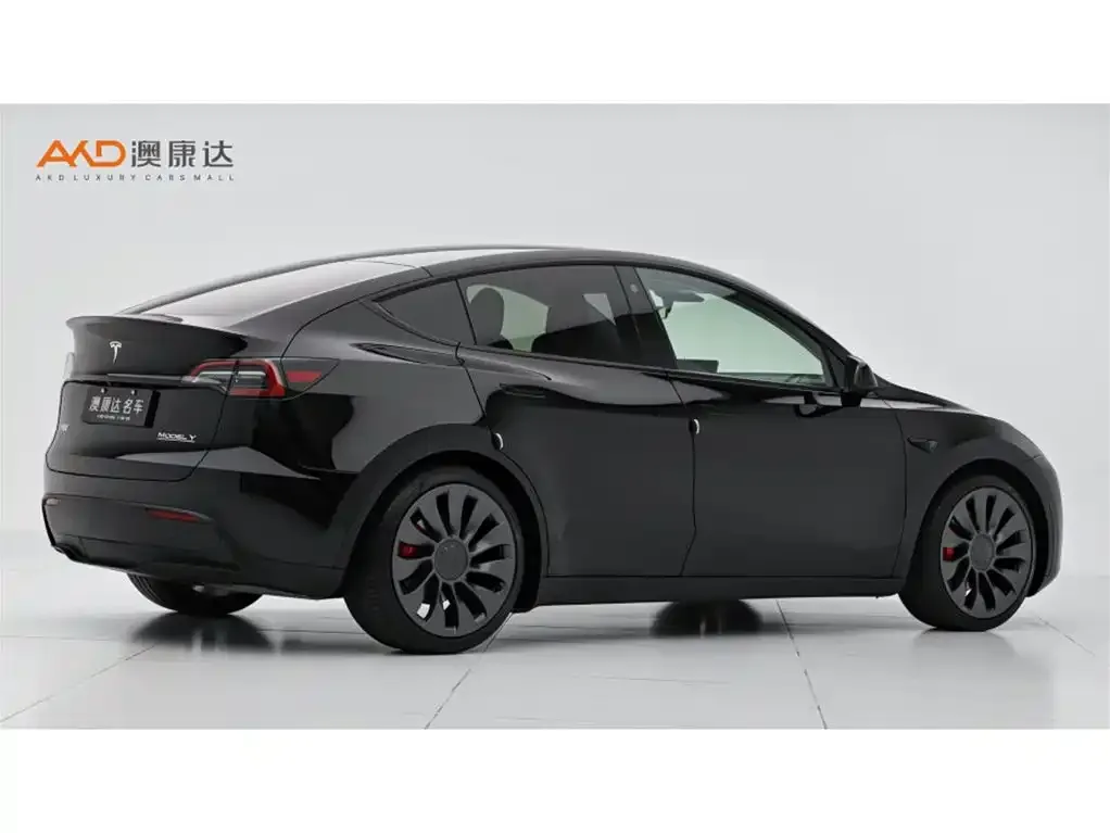 Tesla Model Y — фото 6
