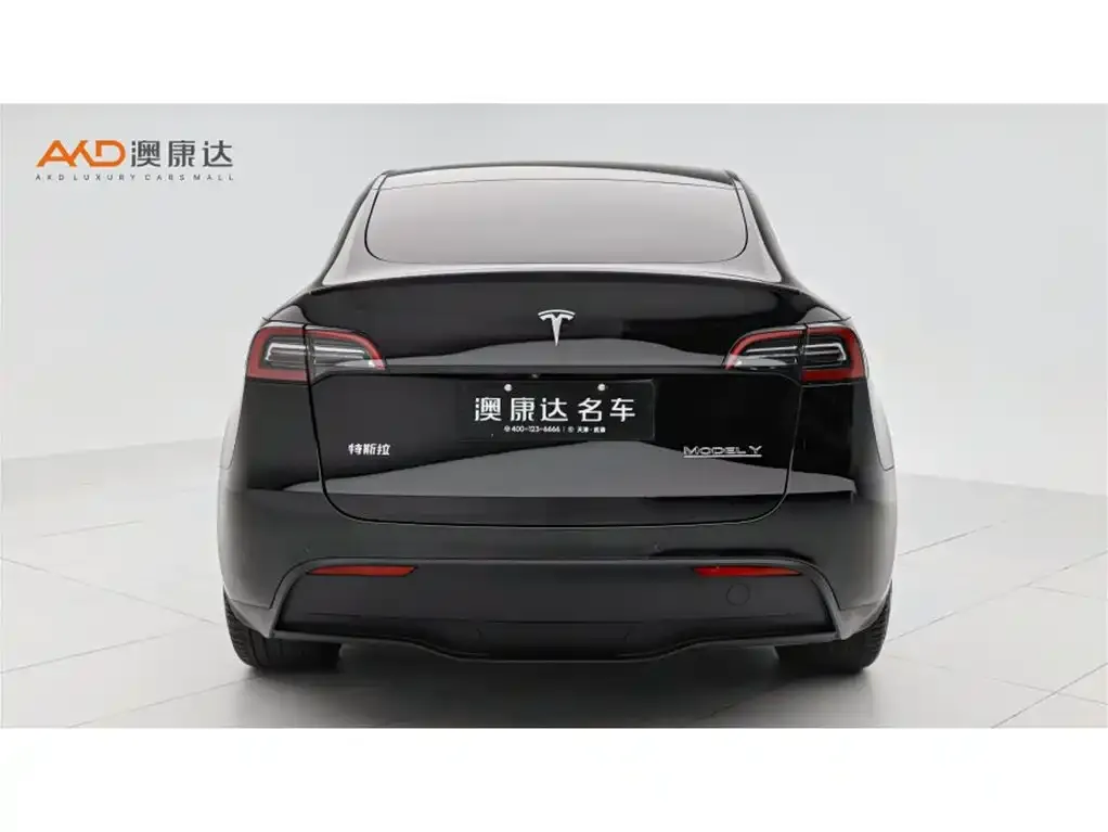 Tesla Model Y — фото 2