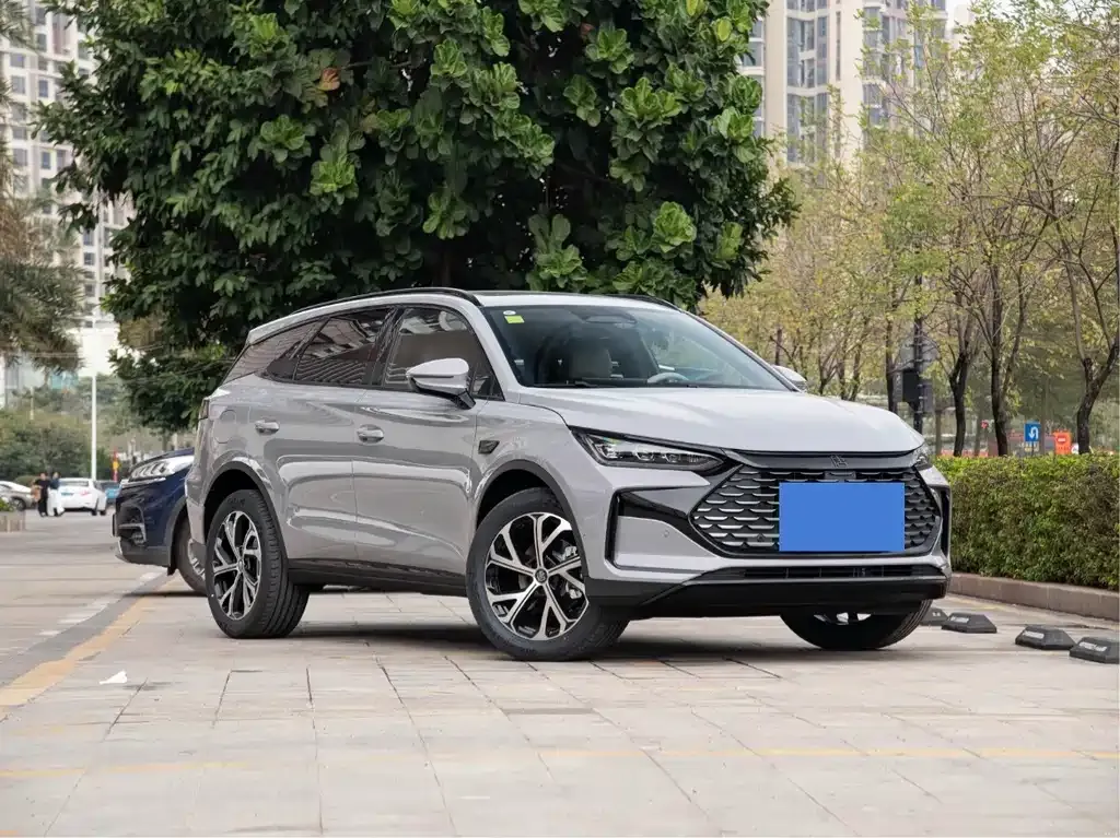 BYD Tang New Energy — фото 1