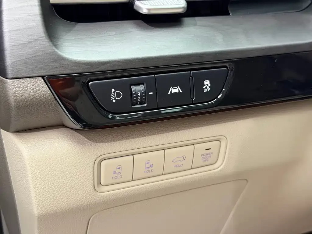 Kia Carnival — фото 10