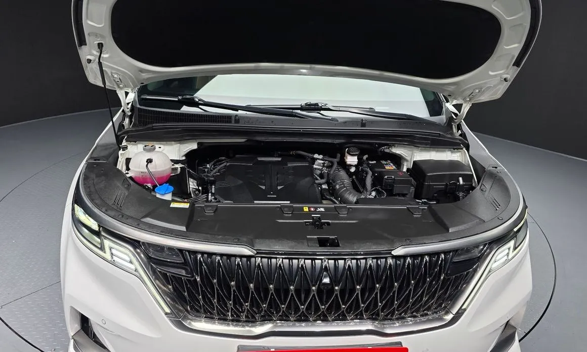 Kia Carnival — фото 10