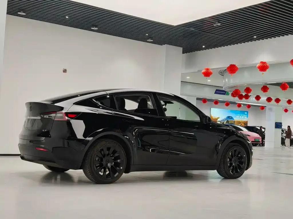 Tesla Model Y — фото 2