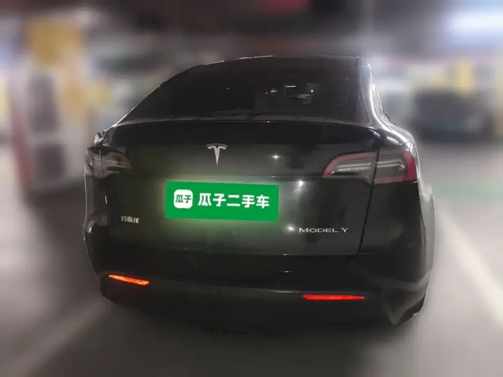 Tesla Model Y — фото 2