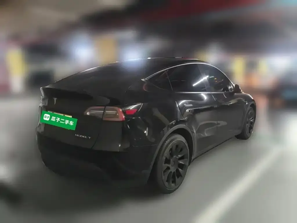 Tesla Model Y — фото 10