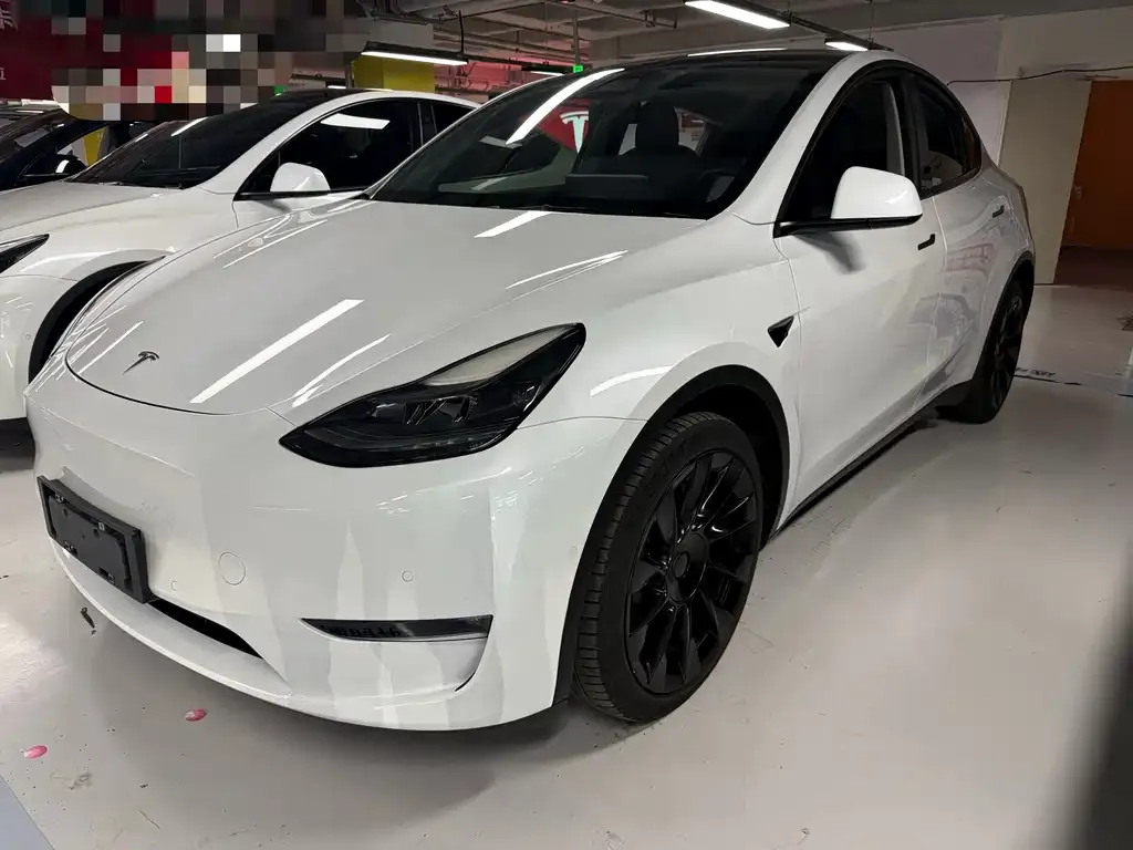 Tesla Model Y — фото 1